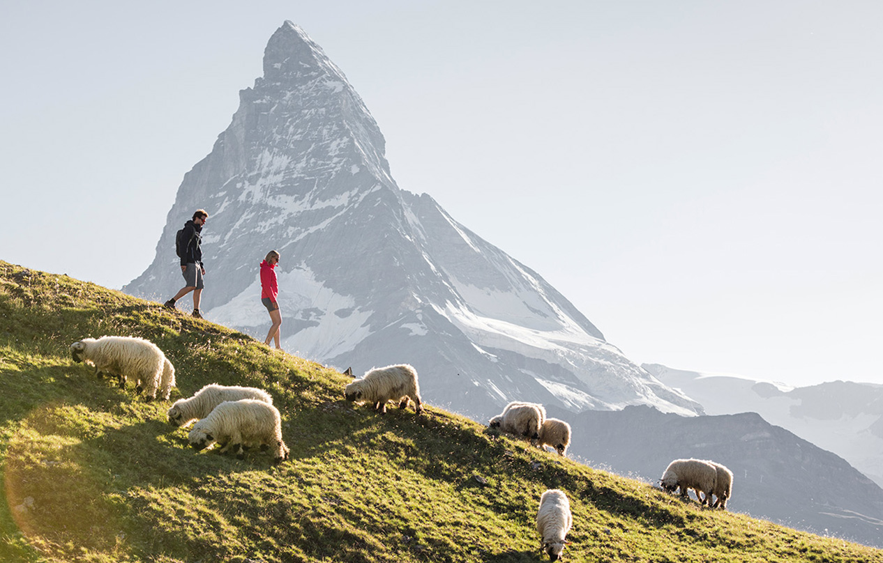 Abenteuer in Österreich